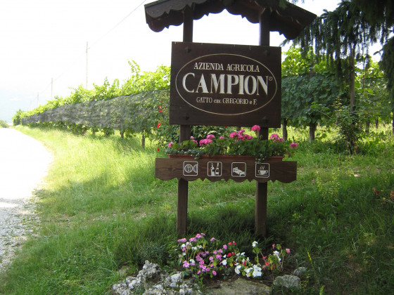 Campion 