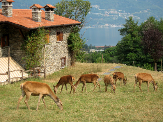 La Vecchia Fattoria