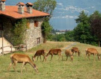 La Vecchia Fattoria