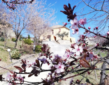 la vecchia fontana foto 3