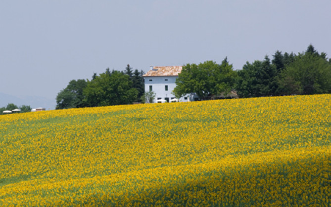 casa azzurra