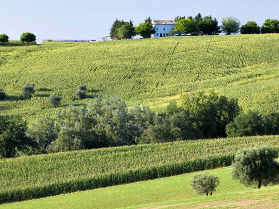 casa azzurra