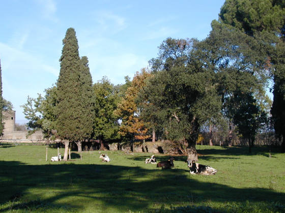 Pantano Borghese