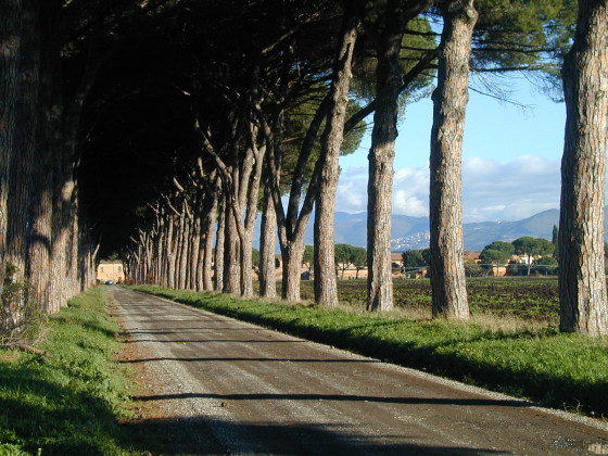 Pantano Borghese