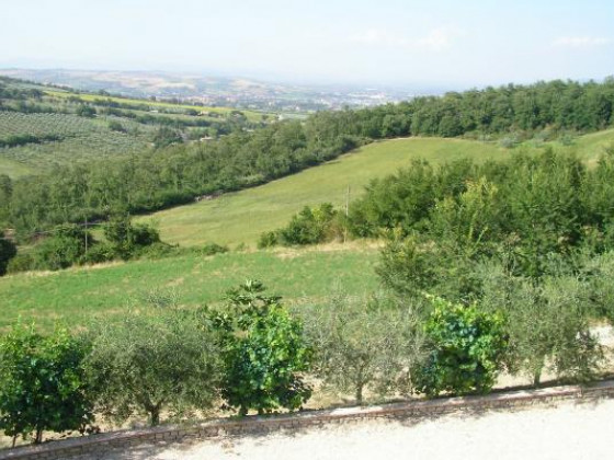 Tenuta Capitolini