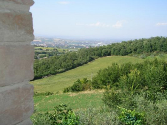 Tenuta Capitolini