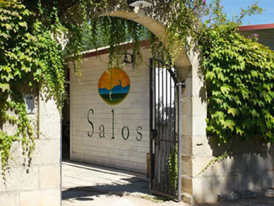 Salos