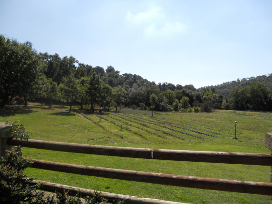 il casale delle ginestre