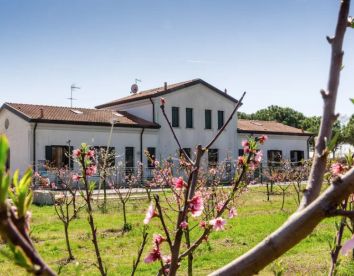 Farm-house Ca' Baccan - Cavallino-Treporti
