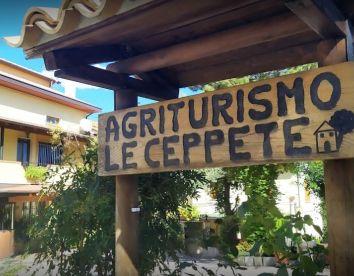 Farm-house Le Ceppete  - Palombaro
