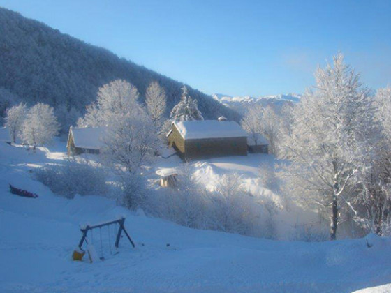 alpe di sara