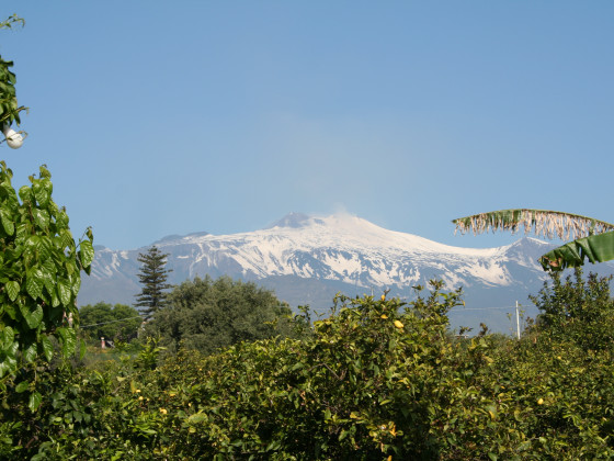 Il Limoneto