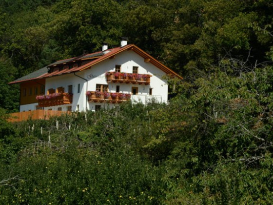 maso gasserhof