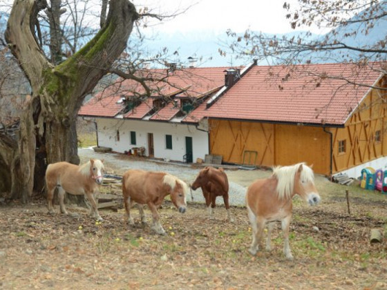 maso gasserhof