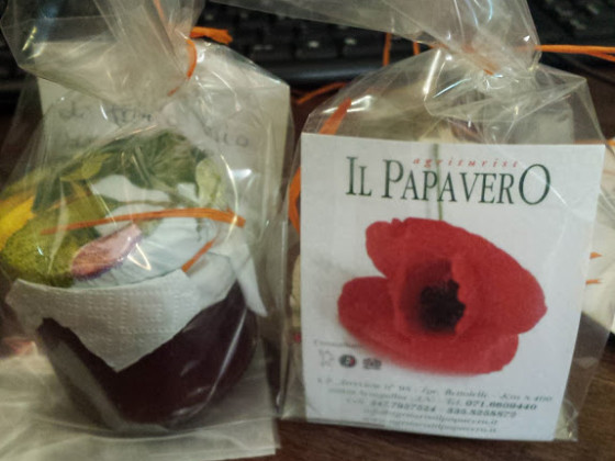 Il Papavero