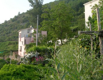 Casa Vacanze In Campagna Casa Pietrarosa - Tramonti