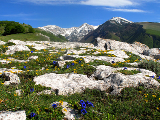 la dimora di maja