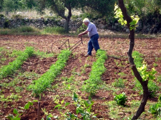 masseria uccio