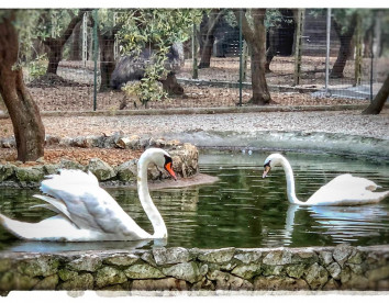 La Fattoria, Otranto foto 15