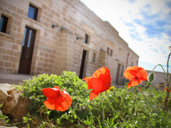 masseria giustiniani