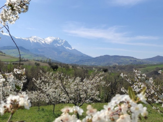 Campo di Forni