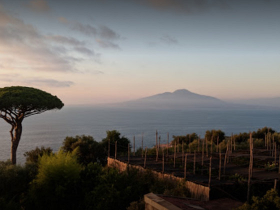 Il Giardino Di Vigliano