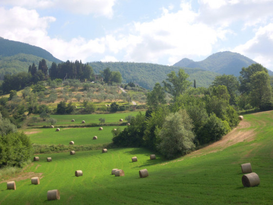 il poggio alle ville