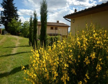 Casa Vacanze In Campagna I 3 Cipressi - Arezzo