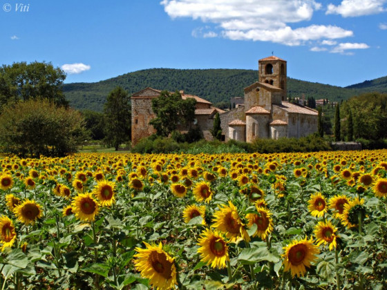 casale il colombaio di toiano