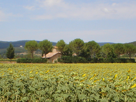 casale il colombaio di toiano