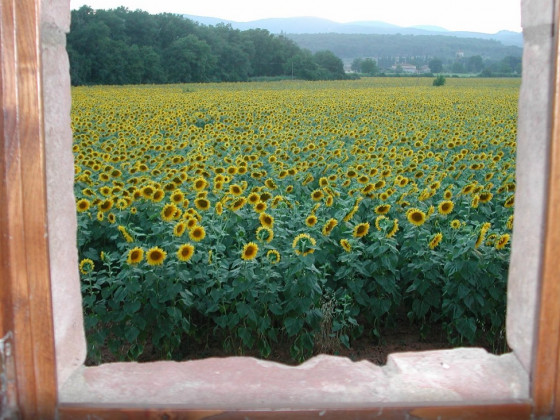 casale il colombaio di toiano