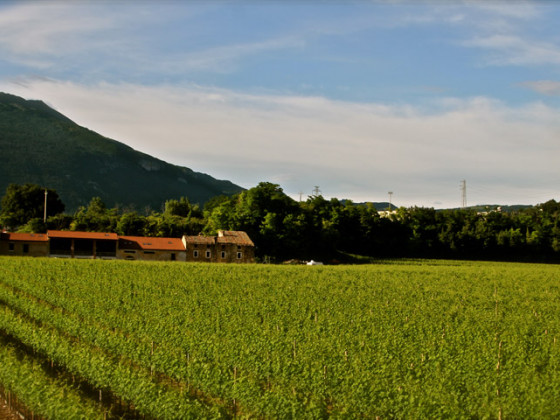 casalmenini - corte patrizia