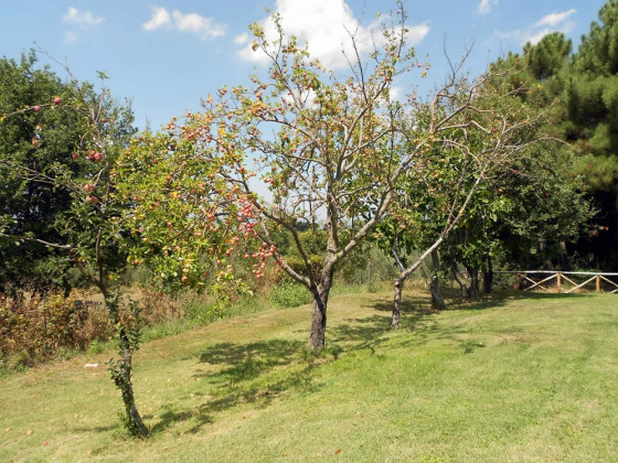 la meridiana strana