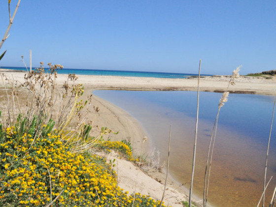 con piscina la piana degli ulivi