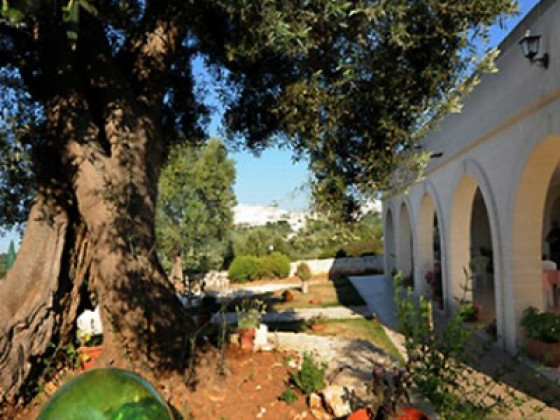 con piscina la piana degli ulivi