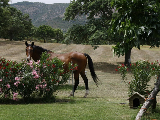 Borgo di Campagna