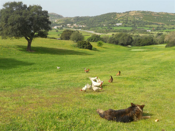 Borgo di Campagna