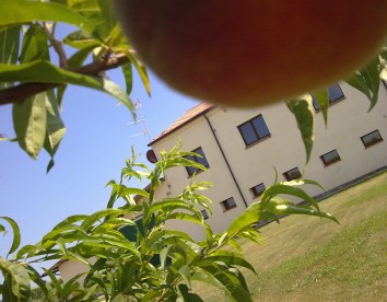 Farm-house Amistà - Badia Polesine