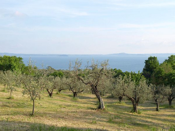 casale del citerno