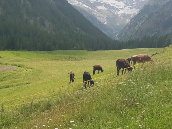 La Ferme du Grand Paradis