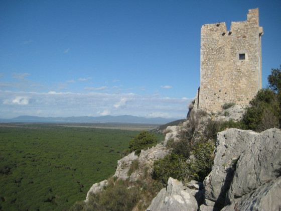 Poggio Degli Ulivi