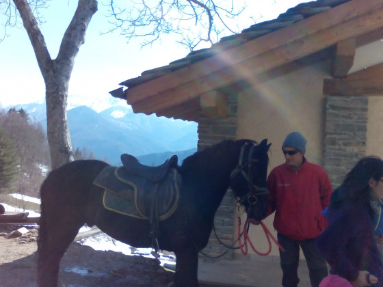 Il Campo della Quercia