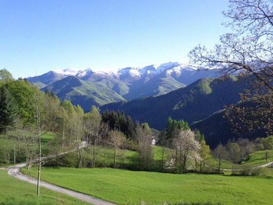 Il Campo della Quercia