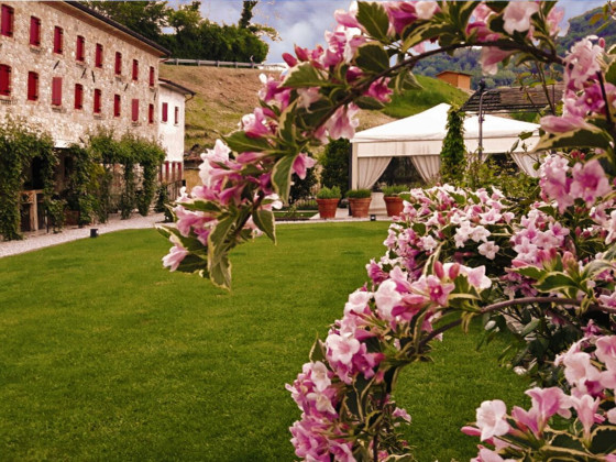 Azienda Agricola Cà Piadera