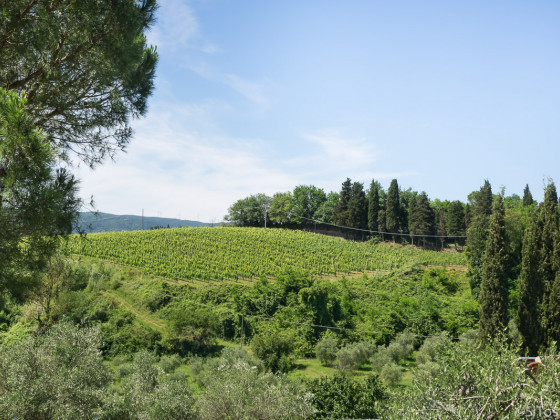 Terre di Toscana