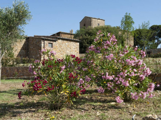 Antico Borgo Casalappi