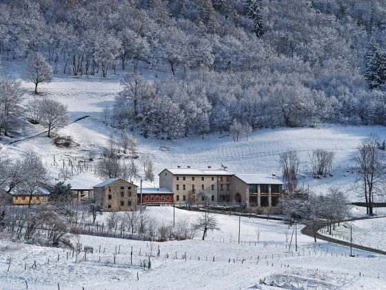 Il Maggiociondolo