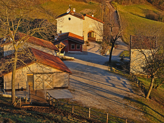 Il Maggiociondolo