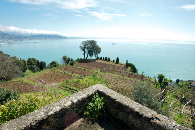 Sopra il Limoneto