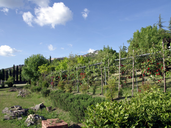 Le Gorghe di Valmarino